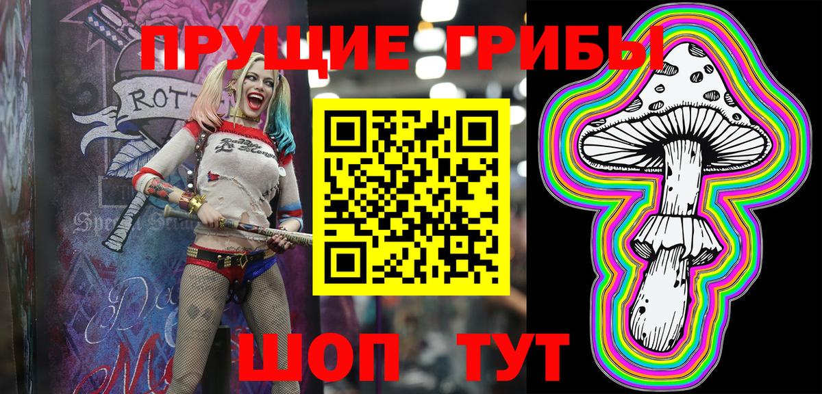 Псилоцибиновые грибы Psilocybine cubensis Партизанск