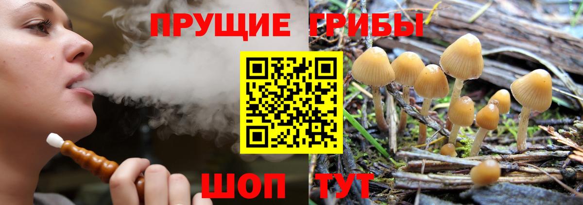 Галлюциногенные грибы Psilocybine cubensis  Галлюциногенные грибы мухоморы  Вход с VPN  Партизанск 